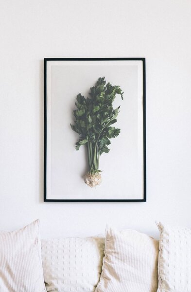 Celer Samolepící 20 x 30 cm