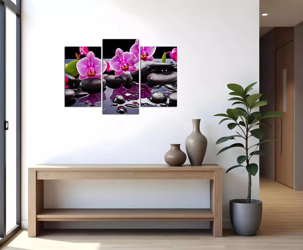 Moderní obraz Orchideje a černé kameny