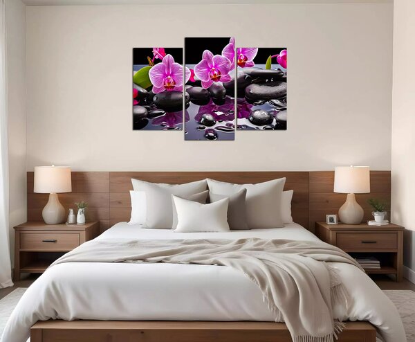 Moderní obraz Orchideje a černé kameny