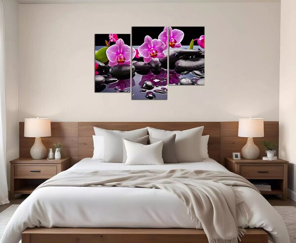 Moderní obraz Orchideje a černé kameny