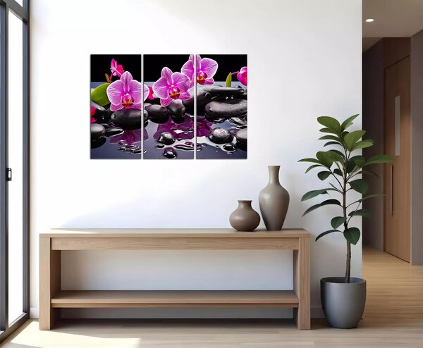 Moderní obraz Orchideje a černé kameny
