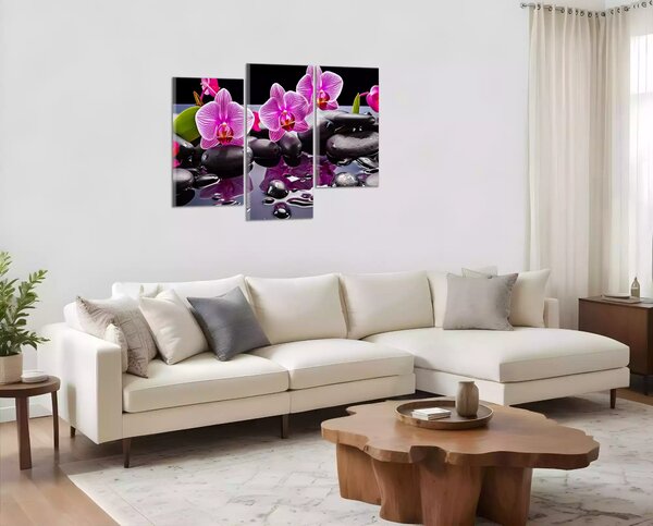 Moderní obraz Orchideje a černé kameny