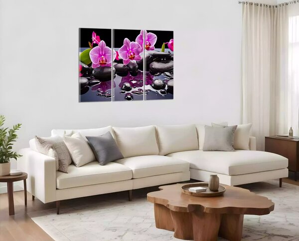 Moderní obraz Orchideje a černé kameny