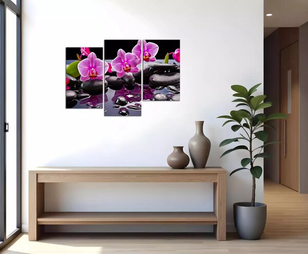Moderní obraz Orchideje a černé kameny