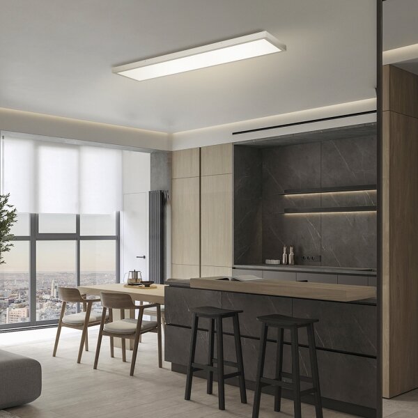 Brilagi - LED Koupelnové svítidlo FRAME LED/50W/230V 3000/4000/6000K 120x30 IP44