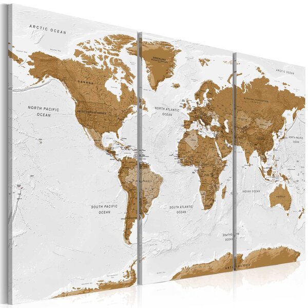Obraz - Mapa světa: Bílá poezie 90x60