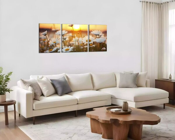 Obraz na zeď Kopretiny panorama