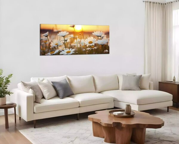 Obraz na zeď Kopretiny panorama