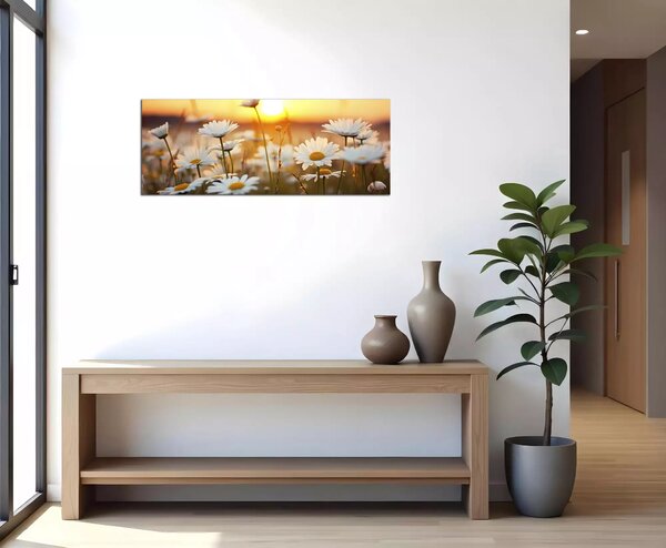 Obraz na zeď Kopretiny panorama
