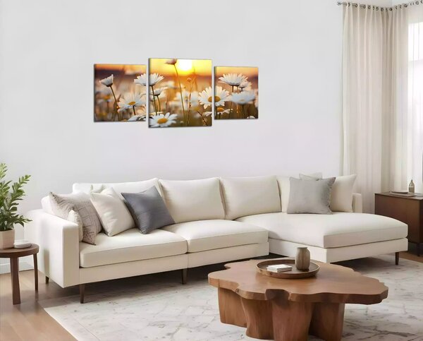 Obraz na zeď Kopretiny panorama