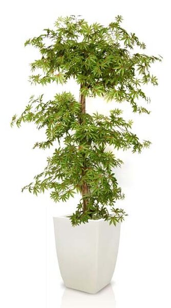 ILA Umělý strom Maple Multistep Varianta: 150cm multicolor
