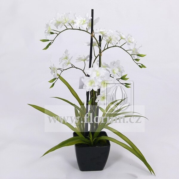 EG Umělá rostlina Orchidej (70cm) bílá
