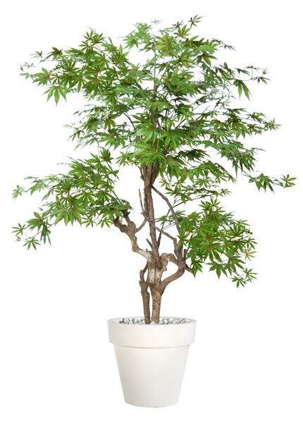 ILA Umělý strom Maple Stylish výška: 170cm multicolor