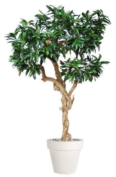 ILA Umělý strom Mango Nidra (250cm)