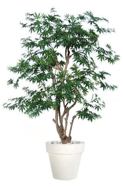 ILA Umělý strom Maple Stylish výška: 130cm zelená javor