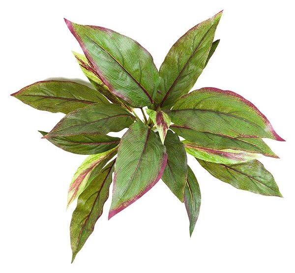 NK Umělá rostlina Cordyline green/red (30cm)