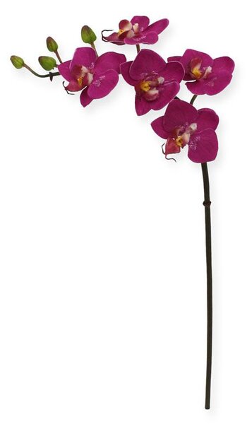 MF Umělá květina Orchidej větvička Phalaenopsis (50cm) - vínová