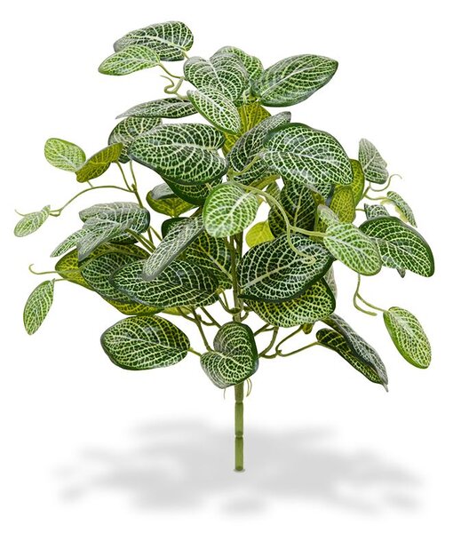 MF Umělá rostlina Fittonia bukett (40cm)
