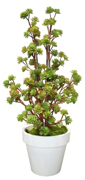 ILA Umělá rostlina Echeveria Lux (120cm)