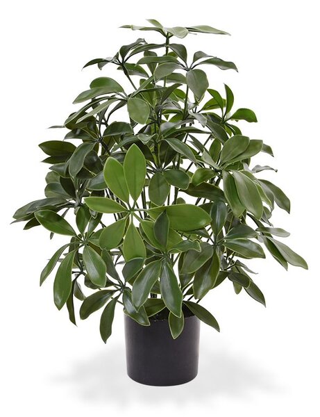 MF Umělá rostlina Schefflera (50cm) - UV