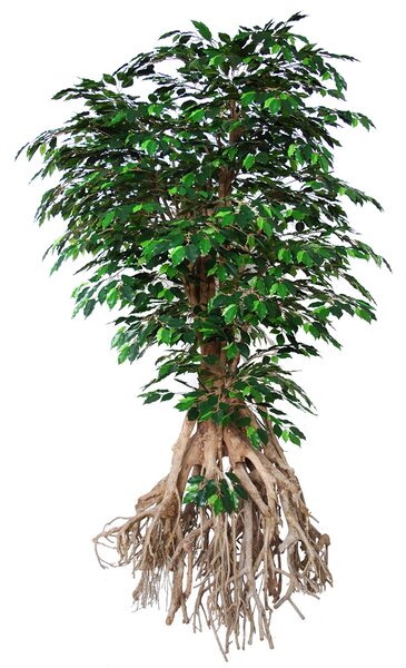 ILA Umělý strom Fikus Exotica Root Giant (260cm)