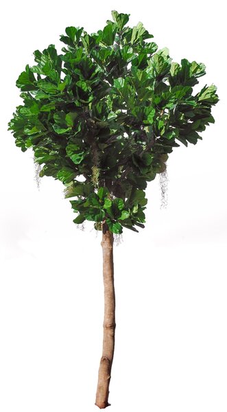 ILA Umělý strom Fikus Lyrata Gigantea (400cm)