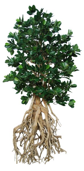 ILA Umělý strom Jackfruit Root Giant (250cm)