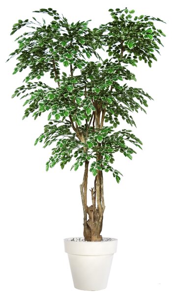 ILA Umělý strom Beech Nicobar (300cm) Barva listů: vícebarevná (Vario)