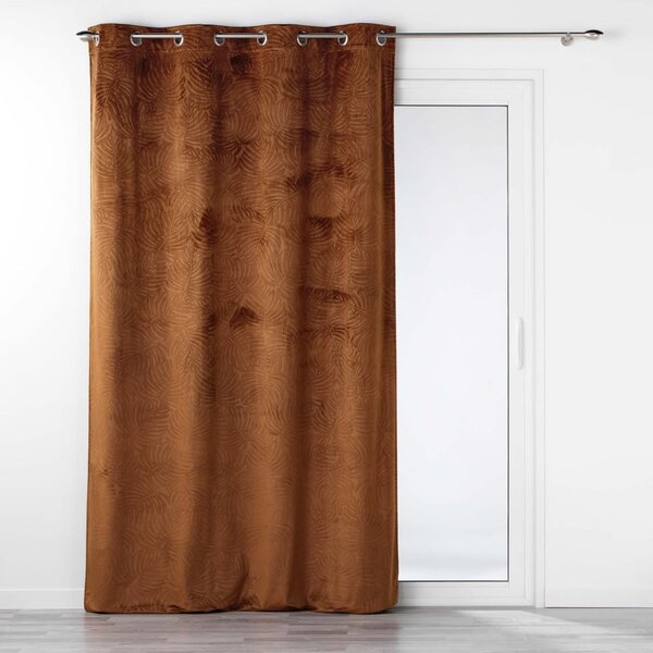Hnědý sametový závěs 140x240 cm Analia – douceur d'intérieur