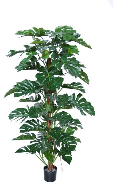 ILA Umělá rostlina Philo Split Climber (180cm)