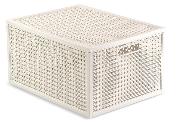 Krémový úložný box s víkem z recyklovaného plastu 30x38x21 cm Kaya – Curver