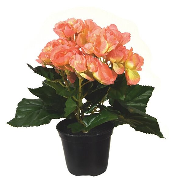MF Umělá rostlina Begonie v květináči (20cm) - oranžová