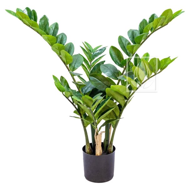 EG Umělá rostlina Zamioculcas Bush (55cm)