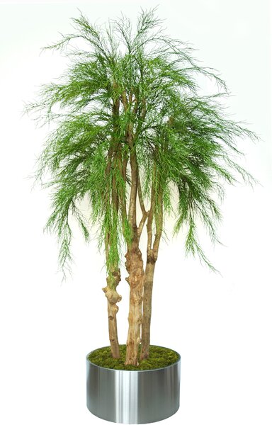 ILA Umělý strom Coral 3D Tree (220cm)