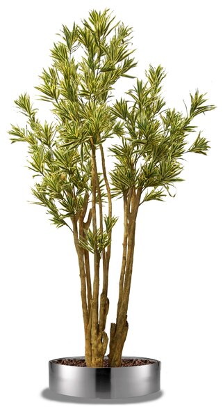 ILA Umělý strom Dracaena Reflexa Florida (260cm) Barva listů: vícebarevná (Vario)