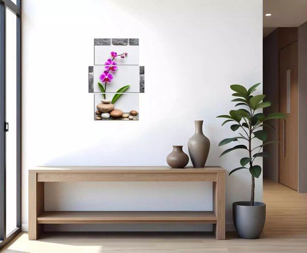 Obraz na zeď Orchidej a kameny