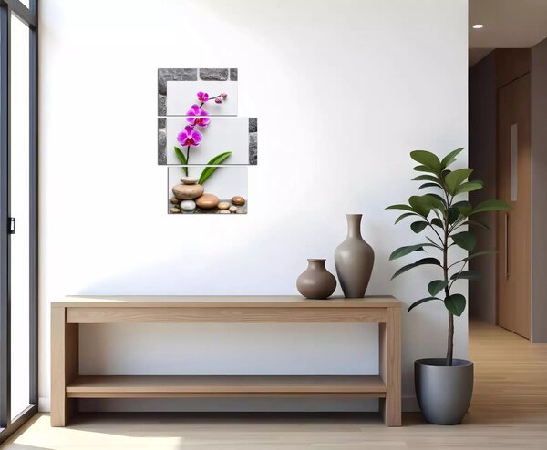 Obraz na zeď Orchidej a kameny