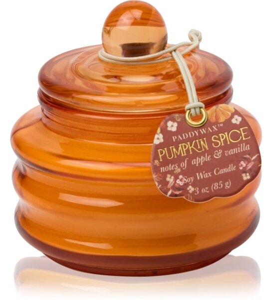 Paddywax Pumpkin Spice vonná svíčka 58 g