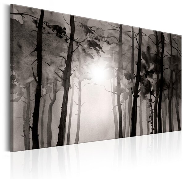 Obraz - Mlžný les 90x60