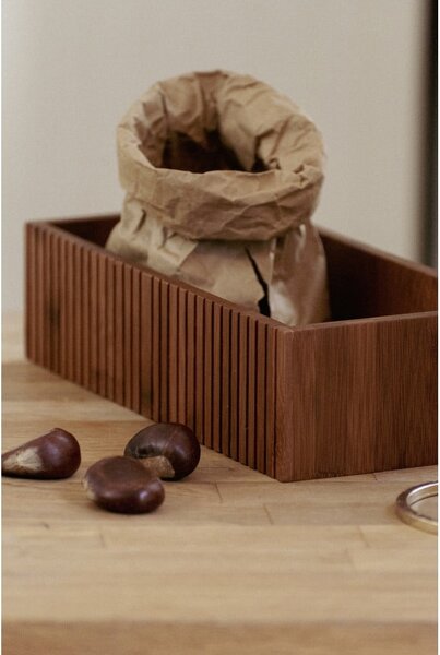Bambusový úložný box v přírodní barvě 30x15x8 cm Mera – Wenko