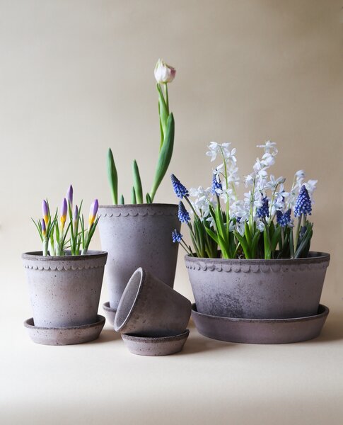 Bergs Potter Terakotový květináč Helena Tall Grey - 14 cm BP160