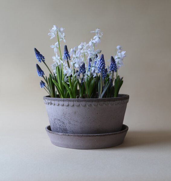 Bergs Potter Terakotový květináč Helena Low Grey - 21 cm BP159