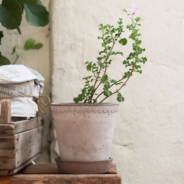 Bergs Potter Terakotový květináč Helena Grey - 18 cm BP157