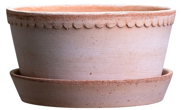 Bergs Potter Terakotový květináč Helena Low Rosa - 21 cm BP163
