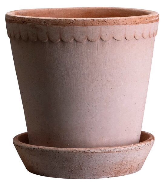 Bergs Potter Terakotový květináč Helena Rosa - 14 cm BP162