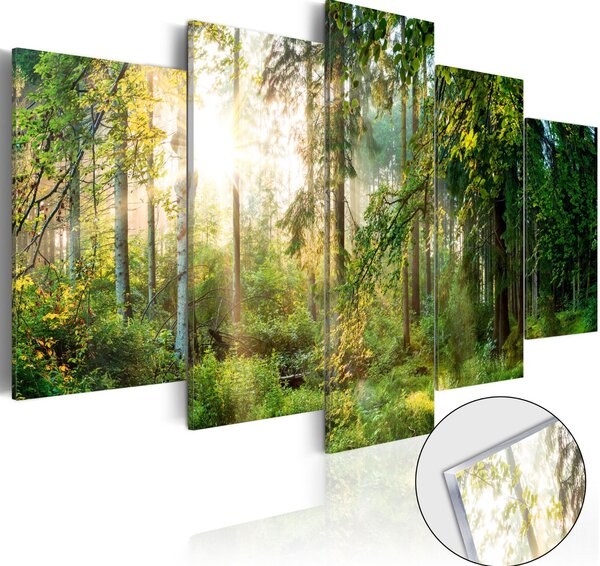 Obraz na akrylátovém skle - Zelená svatyně 100x50