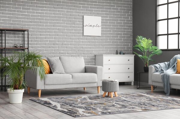 Tmavě šedý koberec 80x150 cm Soft – FD