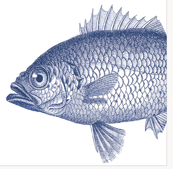 Sada papírových ubrousků Fish, 40 dílů