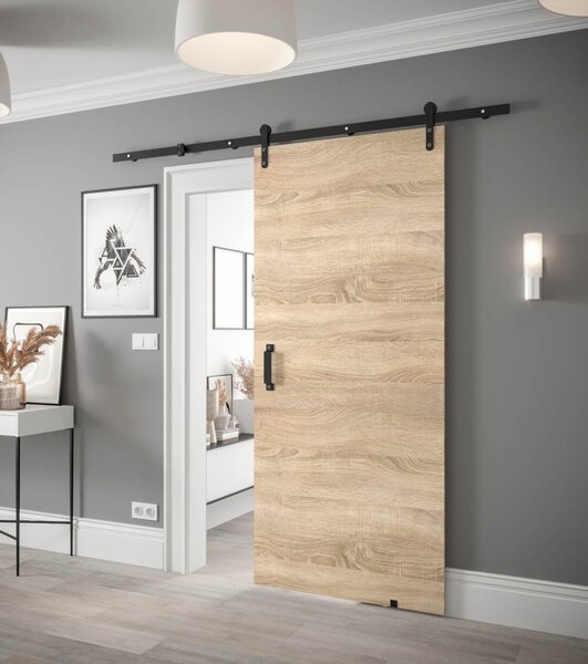 Posuvné dveře Loftiko I - 90 cm s tlumeným dojezdem Barva: Dub Artisan