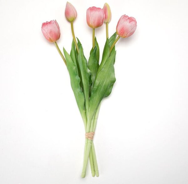 Svazek tulipány plnokvěté 39 cm, 5 ks